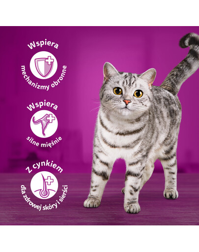 WHISKAS Junior bustina 28x85g di cibo umido per gattini con pollo in gelatina