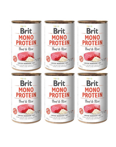 MONGE Kitten With yeast immune defense Pstrąg z borówkami 50 g