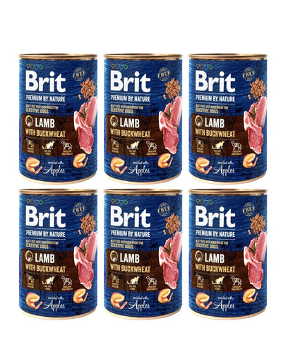 BRIT Premium by Nature Lamb and buckwheatn 6 x 400g cibo per cani a base di agnello e grano saraceno