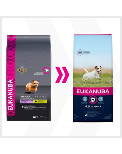 FARMINA N&D Dog Quinoa Skin & Coat Quail - Caille & Quinoa pour la peau & le pelage - 800 g