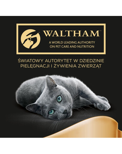 APPLAWS Dog Tin Taste Toppers - Blanc de poulet, saumon et légumes en bouillon - 6x156 g