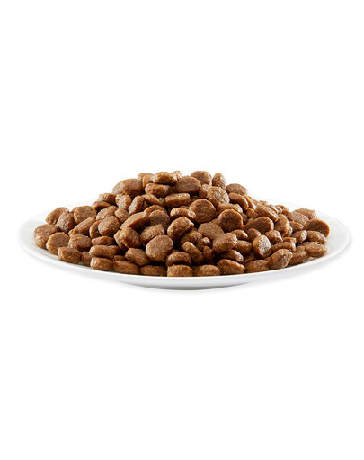 APPLAWS Cibo secco per gatti con pollo e salmone 7.5 kg