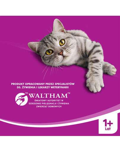 WHISKAS 1+ Agnello 400g