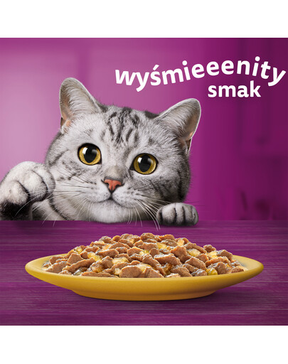 WHISKAS Adult 28x85g cibo umido per gatti adulti in gelatina di pollo
