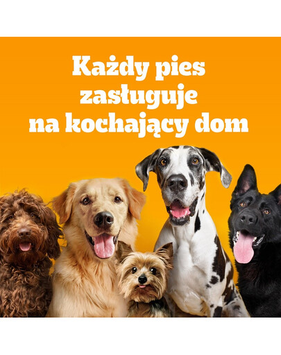PEDIGREE Adult MINI 6 x 2kg con pollame e verdure alimento secco completo per cani adulti di piccola taglia