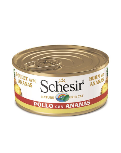 SCHESIR Fruit Pollo con ananas 75g