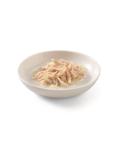 SCHESIR Fruit Pollo con ananas 75g