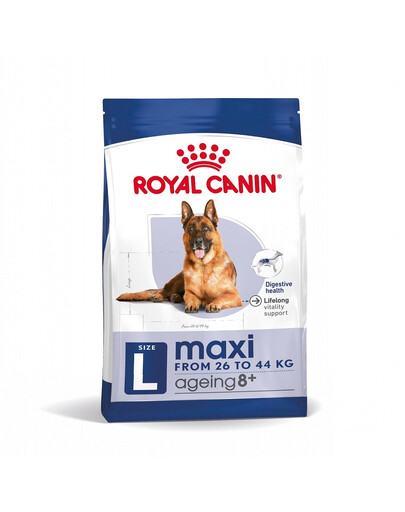 ROYAL CANIN Maxi Ageing croquettes pour chiens adultes de grande race âgés de plus de 8 ans 8+ 30 kg (2 x 15 kg)