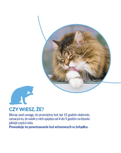 INABA Churu Hairball Chicken 4x14 g przysmak odkłaczający z kurczakiem