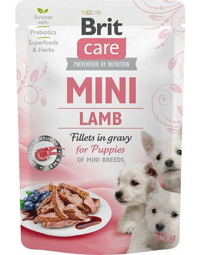 CARE Mini Puppy Pouch Lamb 85g z jagnięciną dla szczeniaków małych ras