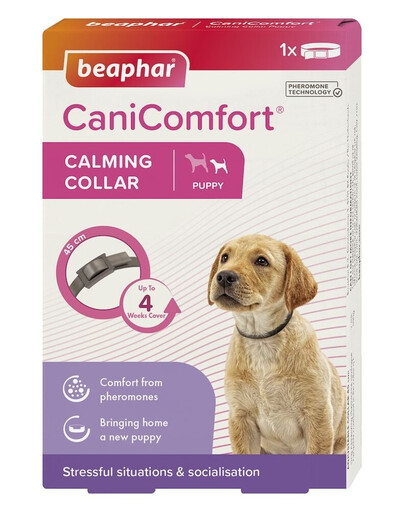 BEAPHAR CaniComfort Calming Collar Puppy 45 cm – collier relaxant aux phéromones pour chiots