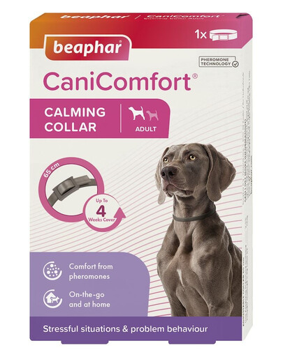 BEAPHAR CaniComfort Calming Collar Dog 65 cm – collier relaxant aux phéromones pour chiens