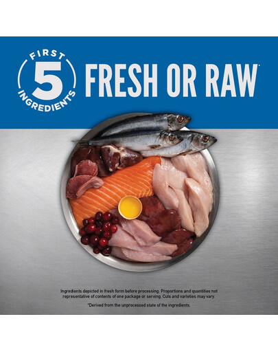 ORIJEN Original Dog 340 g