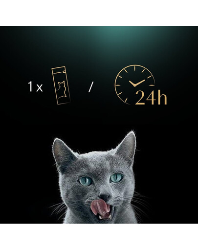 Creamy Snacks kremowy przysmak dla kota z łososiem 4x12g