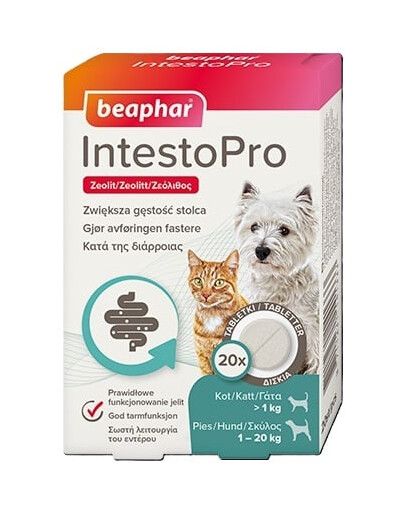 IntestoPro prawidłowe funkcjonowanie jelit 20 tabletek dla psów (do 20kg) i kotów
