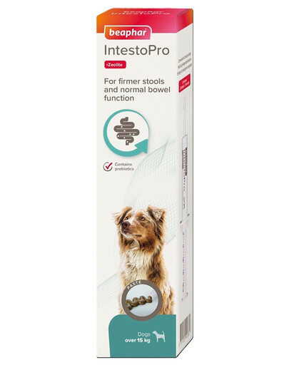 BEAPHAR IntestoPro pasta wspomagająca zagęszczenie kału 2x20ml dla psów (powyżej 15kg) i kotów