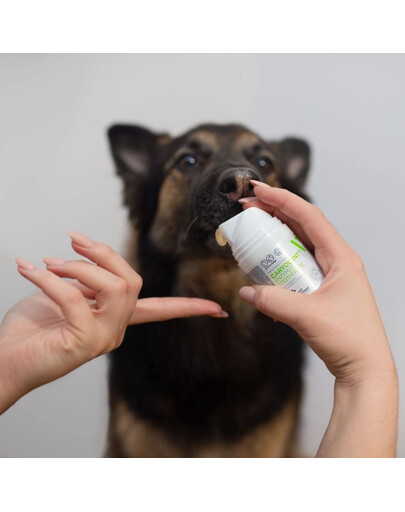 VET EXPERT Caryodent Enzymatic Toothpaste pâte enzymatique pour chien et chat 50 ml