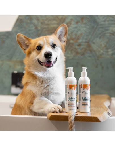 VET EXPERT Detox Care Vitalizing Shampooing Chiens, chats 250 ml