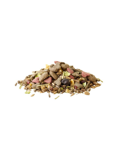VERSELE-LAGA Crispy Muesli Guinea Pig 850g pokarm dla świnek morskich
