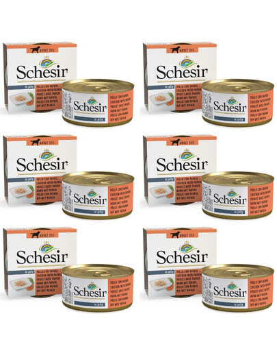 SCHESIR Fruit kurczak z papają 6x150 g