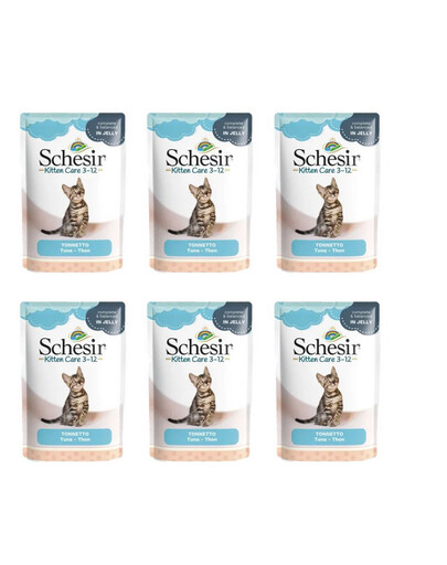 SCHESIR Nourriture humide au thon pour chatons 6x85 g