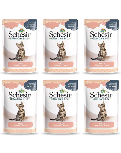 SCHESIR Nourriture humide pour chatons à base de filets de poulet en gelée 6x85 g
