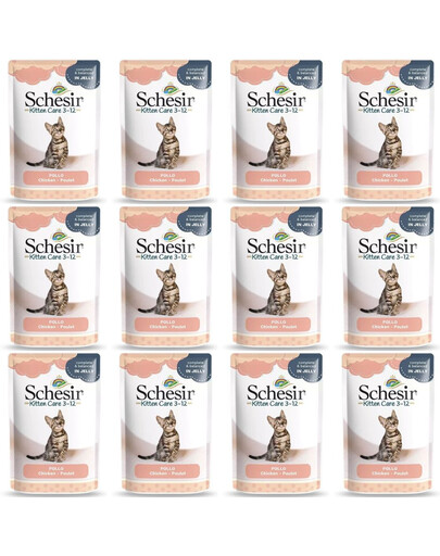 SCHESIR Nourriture humide pour chatons à base de filets de poulet en gelée 12x85 g