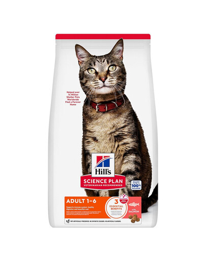 HILL'S Science Plan Feline Adult Salmon 10 kg sucha karma z łososiem dla dorosłych kotów