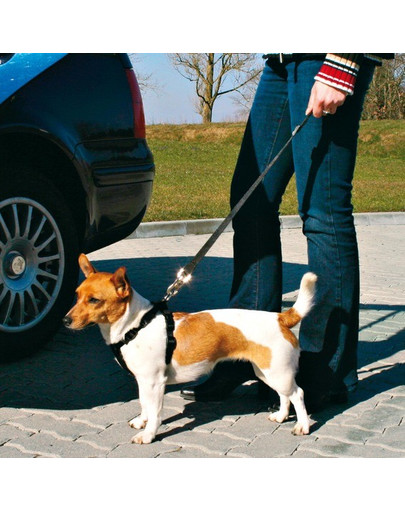 TRIXIE Longe courte pour harnais de voiture, 40-60 cm