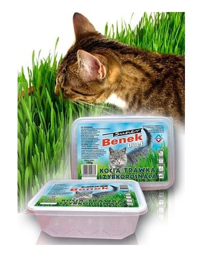 BENEK Herbe à chat à croissance rapide, duo split container