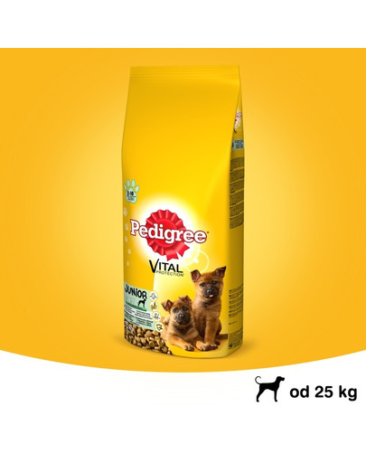 PEDIGREE Junior grandes races avec du poulet 15 kg
