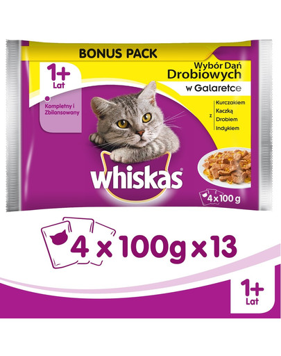 WHISKAS Set de sachets plats de volaille en gelée 52 x 85g