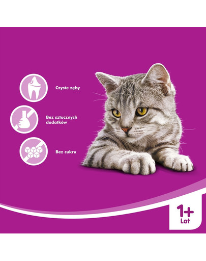 WHISKAS Dentabits 40g