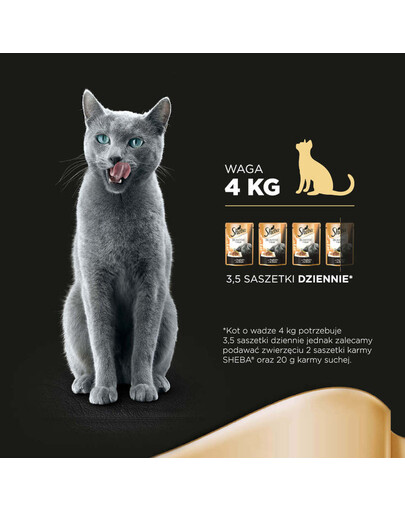 SHEBA Delikato indyk w galaretce 85 g x12