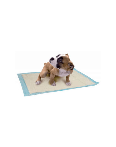 ZOLUX Tapis absorbants 60 X 60 cm - 10 pièces