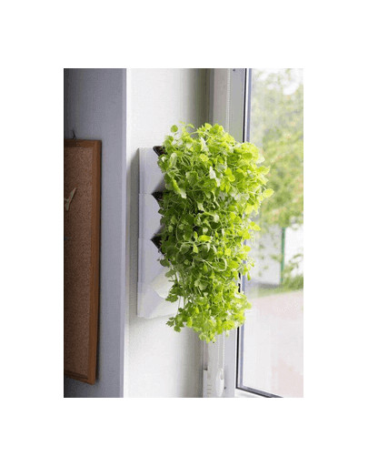 AQUAEL Herbier mural Versa Garden Herbs