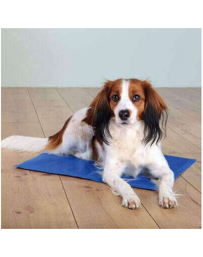TRIXIE Tapis de refroidissement