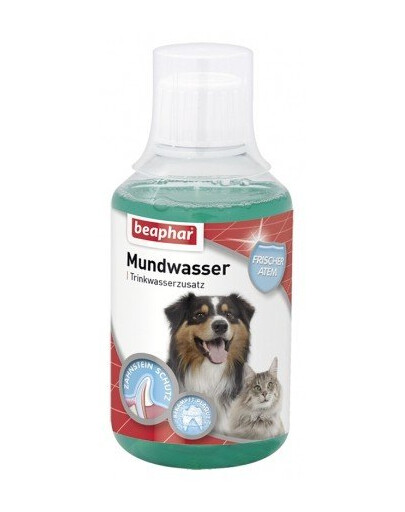 BEAPHAR Mundwasser Płyn Do Pielęgnacji Jamy Ustnej i Zębów Dla Psa i Kota 250 ml