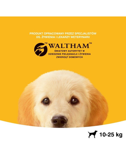 PEDIGREE Junior au poulet pour chiot de taille moyenne avec riz 8,4 kg