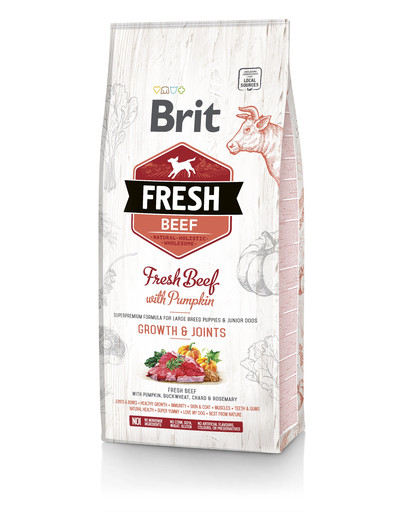 BRIT Fresh beef with pumpkin puppy large - Boeuf frais & citrouille pour chiot de grandes races - 2,5 kg