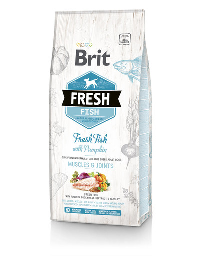 BRIT Fresh fish with pumpkin adult large - Poisson frais & citrouille pour chiens de grandes races - 2,5 kg