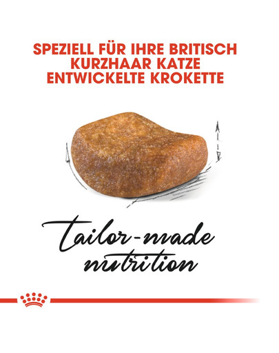 ROYAL CANIN British shorthair 34 10 kg