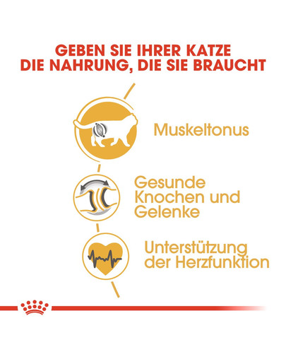 ROYAL CANIN British shorthair 34 10 kg