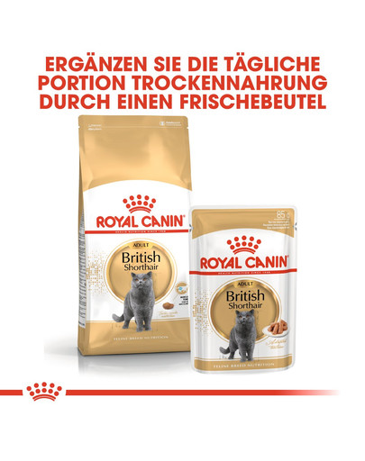 ROYAL CANIN British shorthair 34 2kg