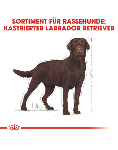 ROYAL CANIN Labrador retriever adult sterilised 12 kg