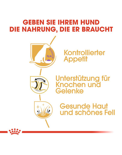 ROYAL CANIN Labrador retriever adult sterilised 12 kg