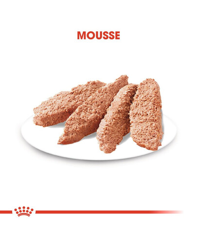 ROYAL CANIN Exigent nourriture humide - pâtée pour chiens adultes difficiles 85 g