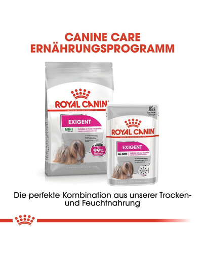 ROYAL CANIN Exigent nourriture humide - pâtée pour chiens adultes difficiles 85 g