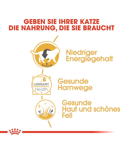 ROYAL CANIN British Shorthair 85g