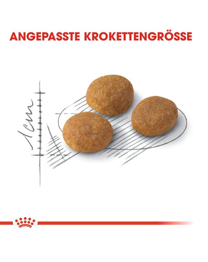 ROYAL CANIN Exigent aromatic attraction 33 10 kg